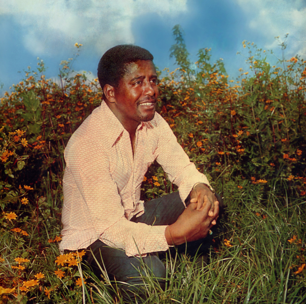 mahmoud ahmed